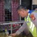 Polres Metro Bekasi Kota Tangkap 3 Pengedar Obat Ilegal di Jatiasih dan Medan Satria