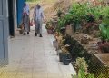 Oknum kepala SMA Negeri Muara Sipongi Diduga Tidak Transparan Dalam Dengelolaan Dana BOS