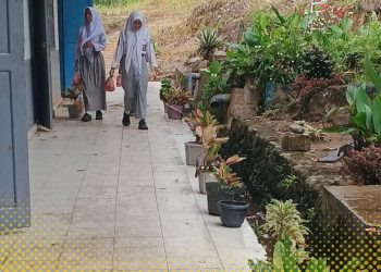 Oknum kepala SMA Negeri Muara Sipongi Diduga Tidak Transparan Dalam Dengelolaan Dana BOS