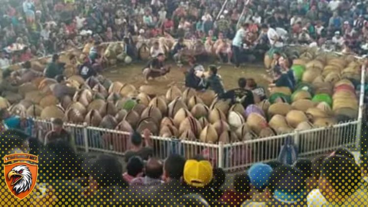 TAJEN (SABUNG AYAM) DI BALI DIDUGA JADI AJANG KEJAHATAN KERAH PUTIH – APH  DI ANGGAP  TUTUP MATA