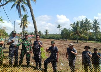 Pematangan Lahan TNI AL Bojongsalawe untuk Program Ketahanan Pangan TNI AL