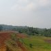 Pembangunan Tol serang – Panimbang Diduga Masuk Mafia Tanah Seperti Pola Tol Cisundau .